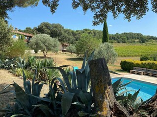Ferienhaus Pertuis (Vaucluse) Ausstattung 35