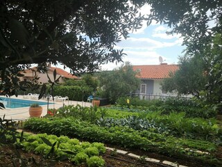 Apartamento Okrug Donji Grabación al aire libre 8