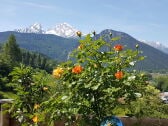 Frühsommer auf Ihrer Terrasse