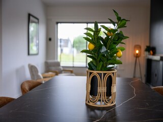 Vakantiehuis Boornzwaag  49