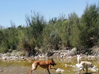 Cottage Sorano  40