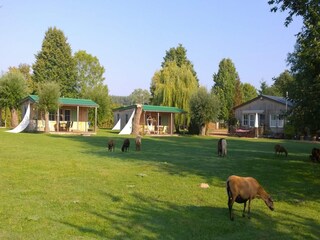 Casa de vacaciones Neuendorf (Gnitz) Grabación al aire libre 5