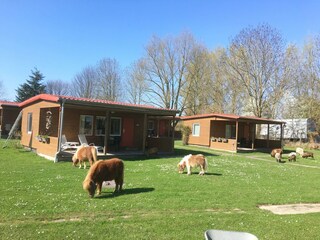 Holiday house Neuendorf (Gnitz) Environment 21