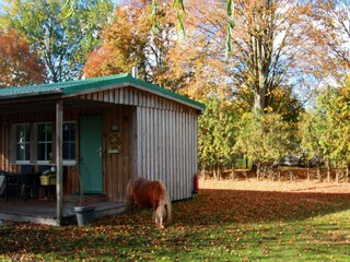 Casa de vacaciones Neuendorf (Gnitz) Grabación al aire libre 11