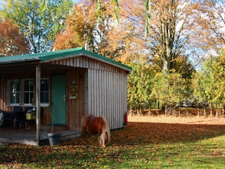 Holiday house Neuendorf (Gnitz) Outdoor Recording 2