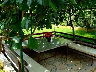 Holiday apartment Novigrad (Istrien) Outdoor Recording 3