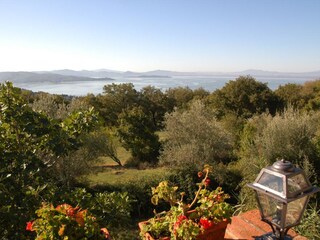Blick vom Balkon am Eingang (Wohnung Viola)