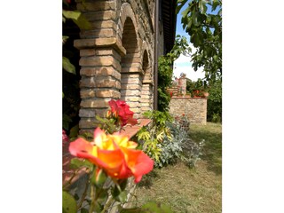 Appartamento per vacanze Passignano sul Trasimeno Registrazione all'aperto 2