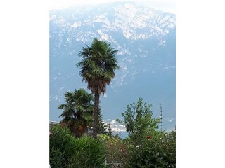 Appartamento per vacanze Tremosine sul Garda Registrazione all'aperto 14