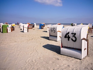 Strandkörbe zu mieten