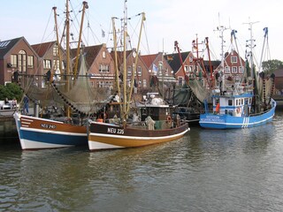 Bilderbuchikone Neuharlingersiel nahes Ausflugsziel