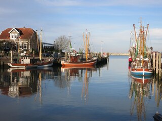 Neuharlingersiel die Krabbenfischer Ikone