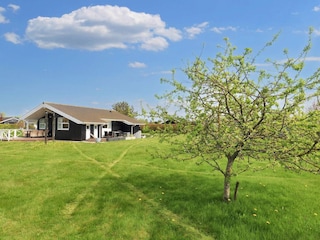 Vakantiehuis Als  29
