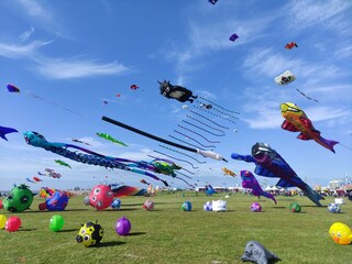 Drachenfest Norddeich