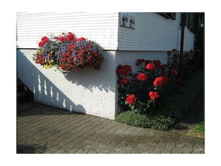 Haus-Heim Eingang