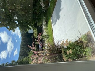 Blick auf Terrasse
