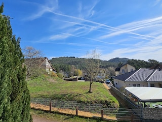 Aussicht vom Balkon