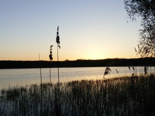Ivenacker See