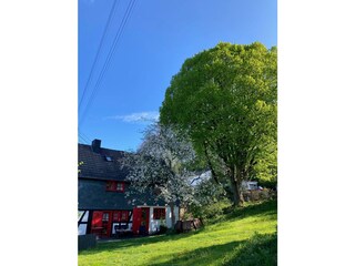 Ansicht Garten