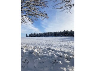 Winterimpression