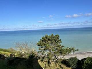 Apartment Pourville-sur-Mer Environment 31