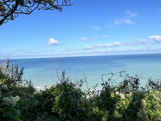 Apartment Pourville-sur-Mer Umgebung 33