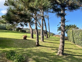 Apartment Pourville-sur-Mer Umgebung 34