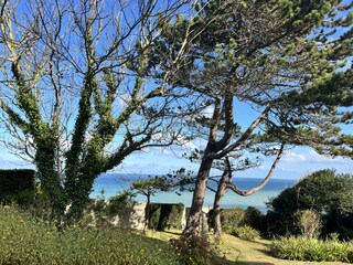 Apartment Pourville-sur-Mer Environment 35