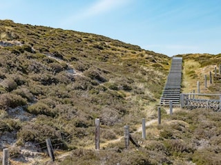 Landschaft