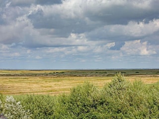 Landschaft