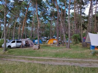 Apartment Neuendorf (Gnitz) Outdoor Recording 3
