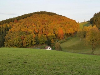Appartement Attendorn Environnement 31