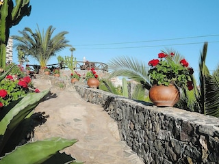 Holiday park Vera de Erques Environment 20