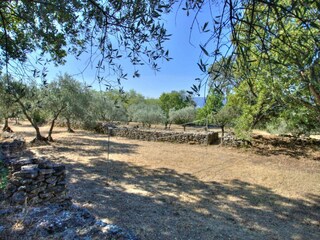 Casa de vacaciones Cabrières-d'Avignon Grabación al aire libre 6