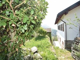 Ferienhaus Premeno Außenaufnahme 4