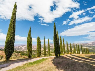 Casa per le vacanze San Casciano dei Bagni Ambiente 36