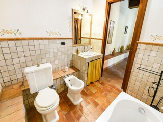 Fattoria San Casciano dei Bagni Caratteristiche 34