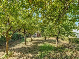 Villa San Casciano dei Bagni Outdoor Recording 16