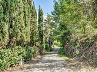 Villa San Casciano dei Bagni Environnement 37