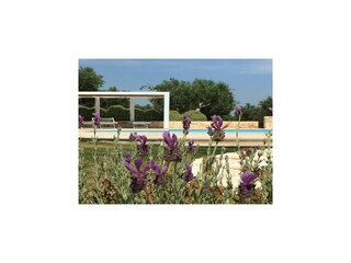 Vakantiehuis Cisternino Buitenaudio-opname 24