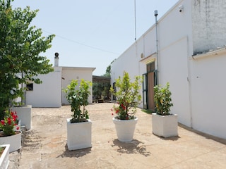 Ferienhaus Cisternino Außenaufnahme 17