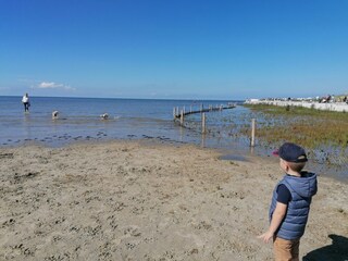 Norddeich Hundestrand