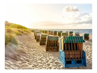 Ferienwohnung Zempin Umgebung 14
