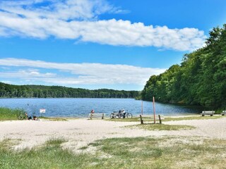 Ferienwohnung Ahlbeck (Usedom) Umgebung 17