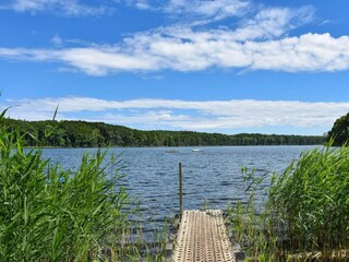 Ferienwohnung Ahlbeck (Usedom) Umgebung 18