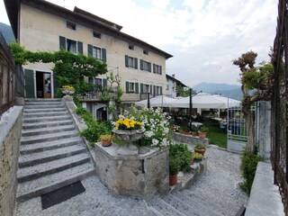 Staircase and garden