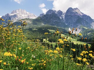 Erholung in den Gras- und Steinbergen in Leogang