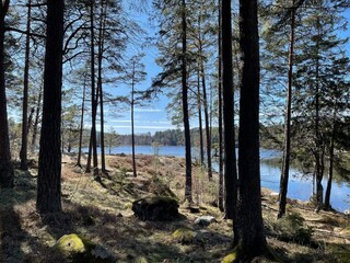 Ferienhaus Muskö Außenaufnahme 3
