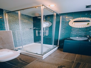 Holiday house Newquay Features 13