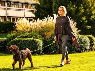 Casa per le vacanze Guildford Registrazione all'aperto 6